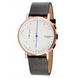 Skagen skt1112 online